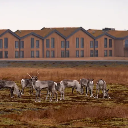 Hótel Jökulsárlón - Glacier Lagoon Hotel-2